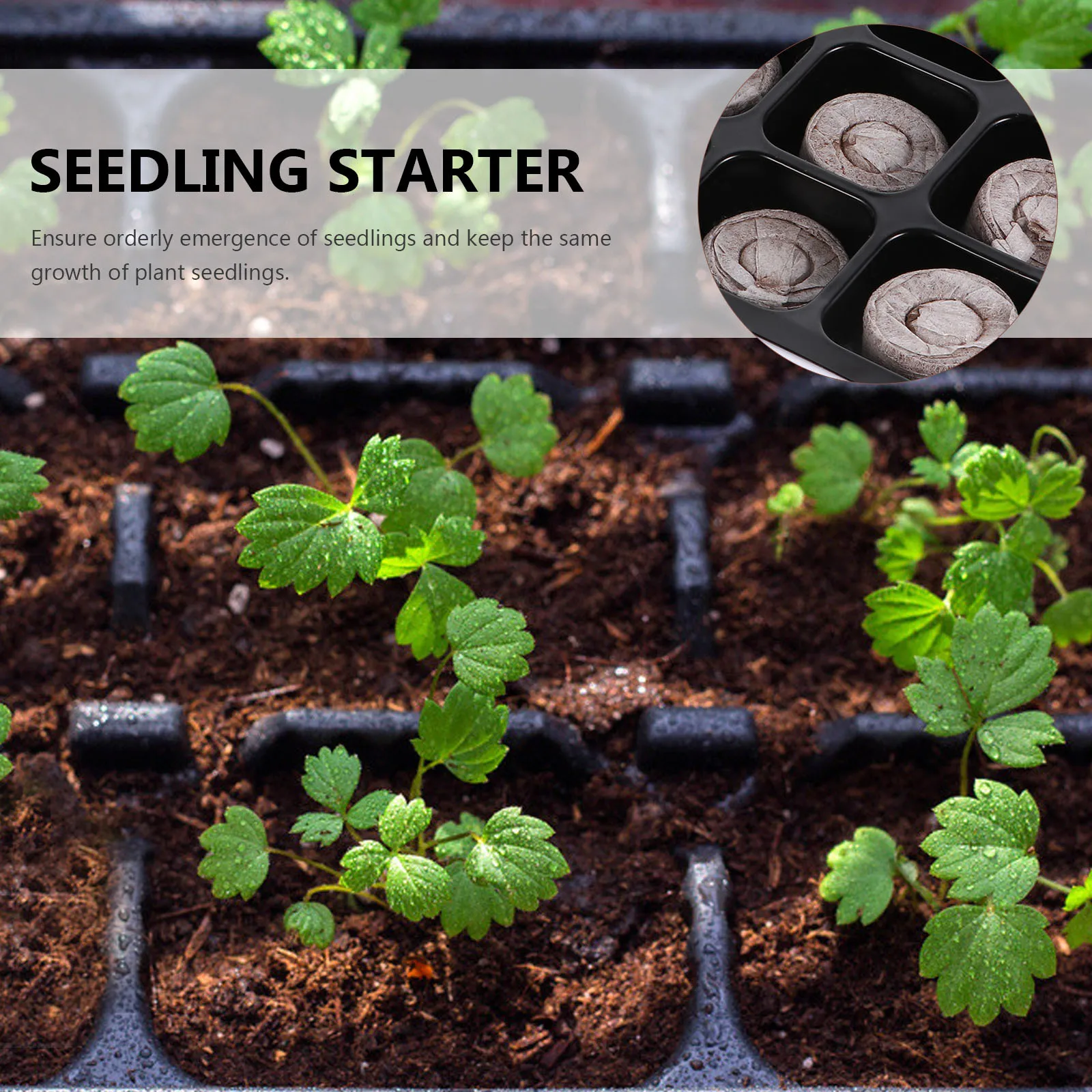 

12Pcs Nursery Box Set Soil Block Starter Tray 12 Hole Reusable Germination Garden Grow Plugs Tray Transplant Container