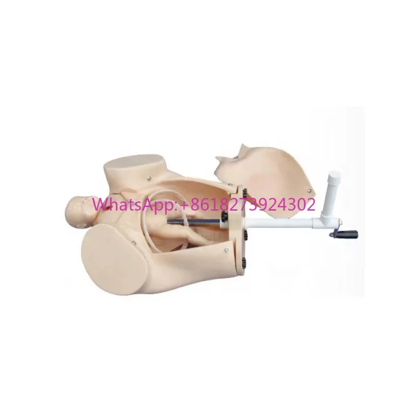 

High Quality School Teaching Tool Manikin Delivery Maternal Emergency Birthing Model