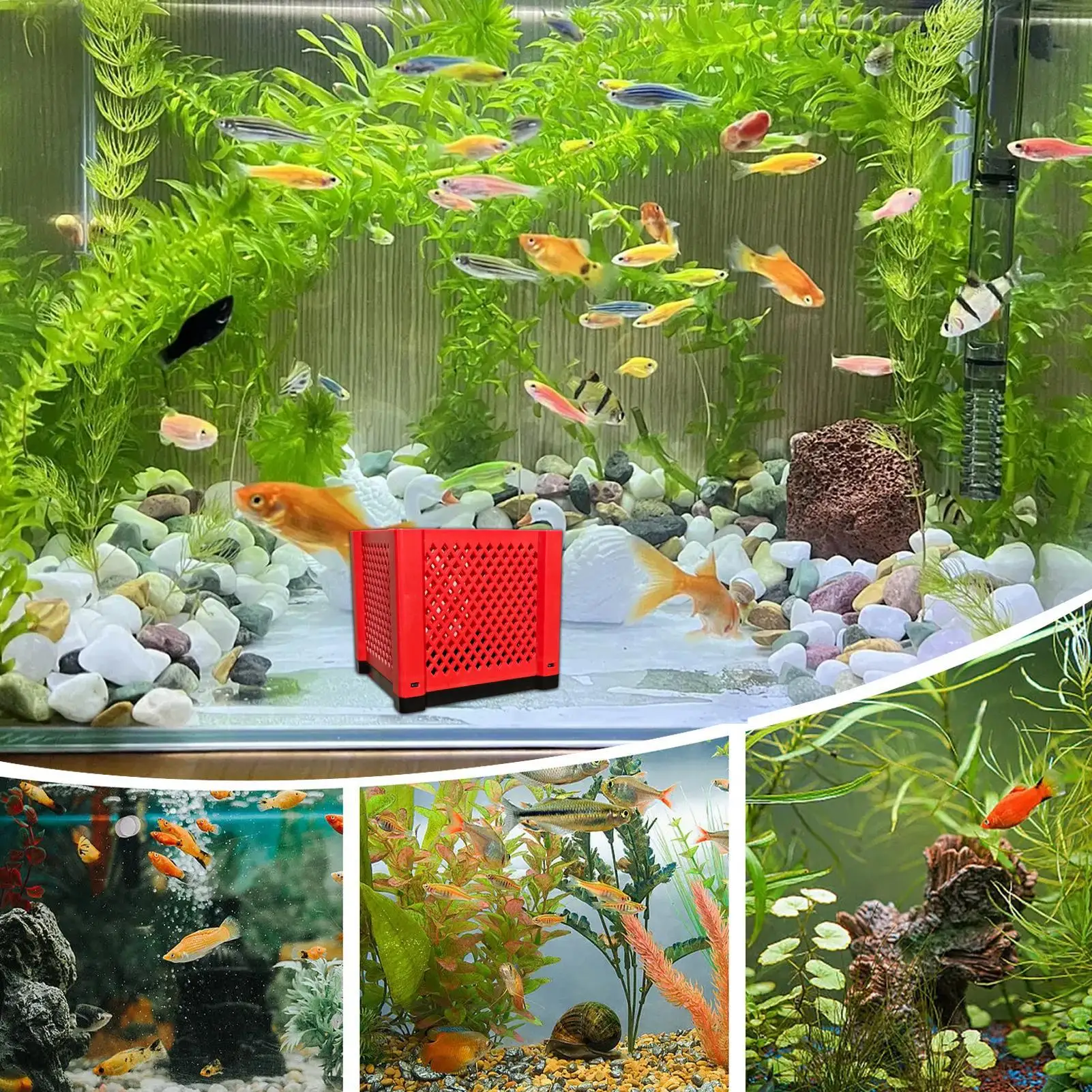 PVC Saklama Kutusu Balık Tankı - Box Fish In Aquarium incelemesi ve fiyatı