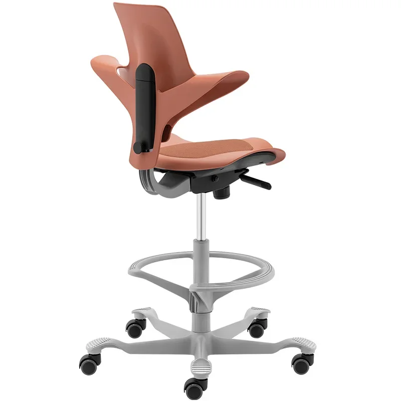 

Back support Computer Office ergonomics Learning Dentist Saddle chair