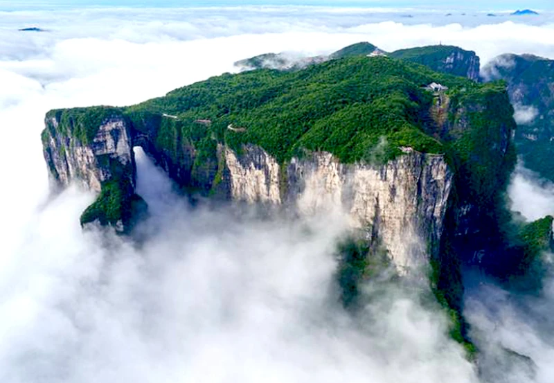 

2 Pcs Car Headlight Protective Film Smoked Black Tint Wrap Vinyl Transparent TPU Sticker For Ford Mustang 2015-Present 2020 2021