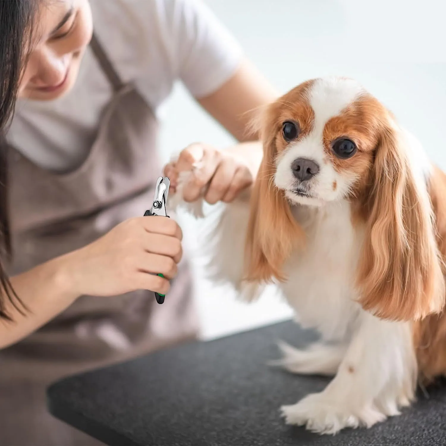 Dog Nail Clippers Professional Pet Nail Clipper Suitable for Large to Medium Dogs, Cats, Rabbits and Guinea Pigs - Safety Lock