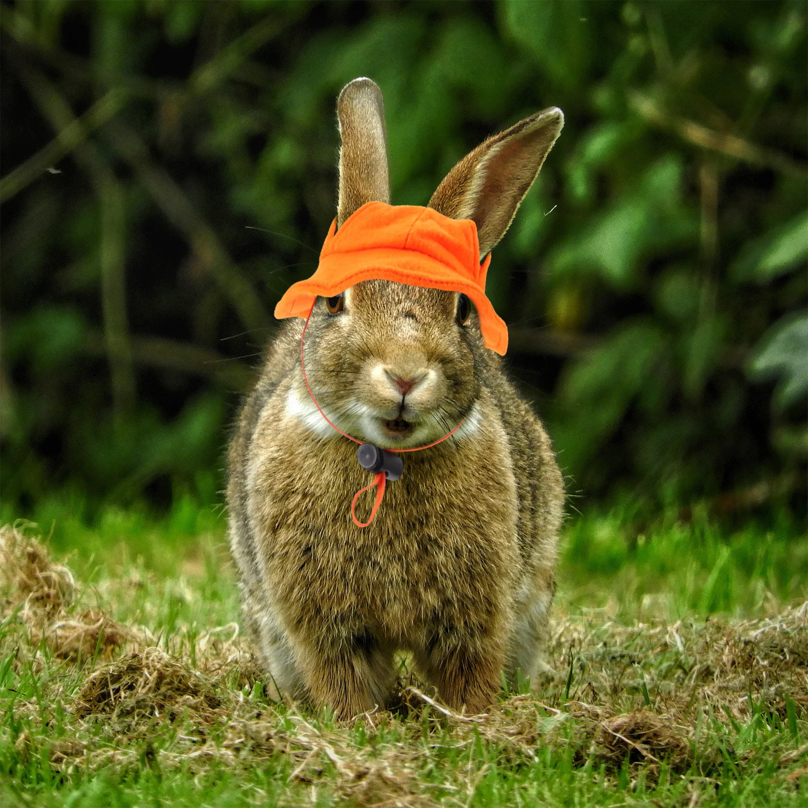 

Pet Orange Hat for Rabbit Hats Bunny Rabbits Pets Small Cute Bunnies Accessory to Wear Clothes