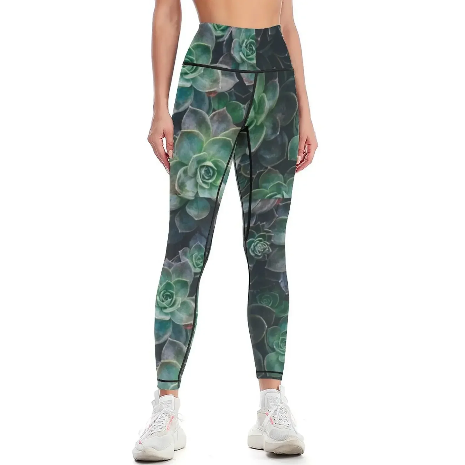 Succulents Leggings jogging pants Training pants Women's trousers Fitness clothing Womens Leggings
