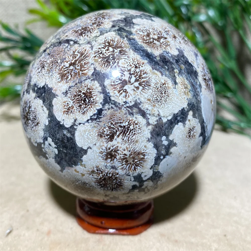 Green Flower Agate Stone Crystal Quartz Natural Sphere Reiki Wichcraft Minerals Handwork Ball House Decoration Home +Stand