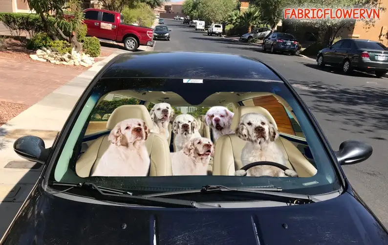 Chinese Crested Car Sunshade, Chinese Crested Car Decoration, Dog Windshield, Dog Lovers Gift, Dog Car Sunshade, Gift For Mom, G