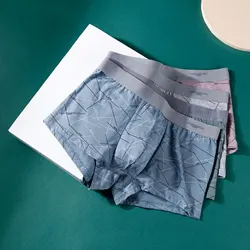 4Pcs Men's Underwear Ice Silk Mesh Boxer Shorts Sexy Panties Man Underpants Thin Male U Convex Lingerie Wholesale Lots L-6XL