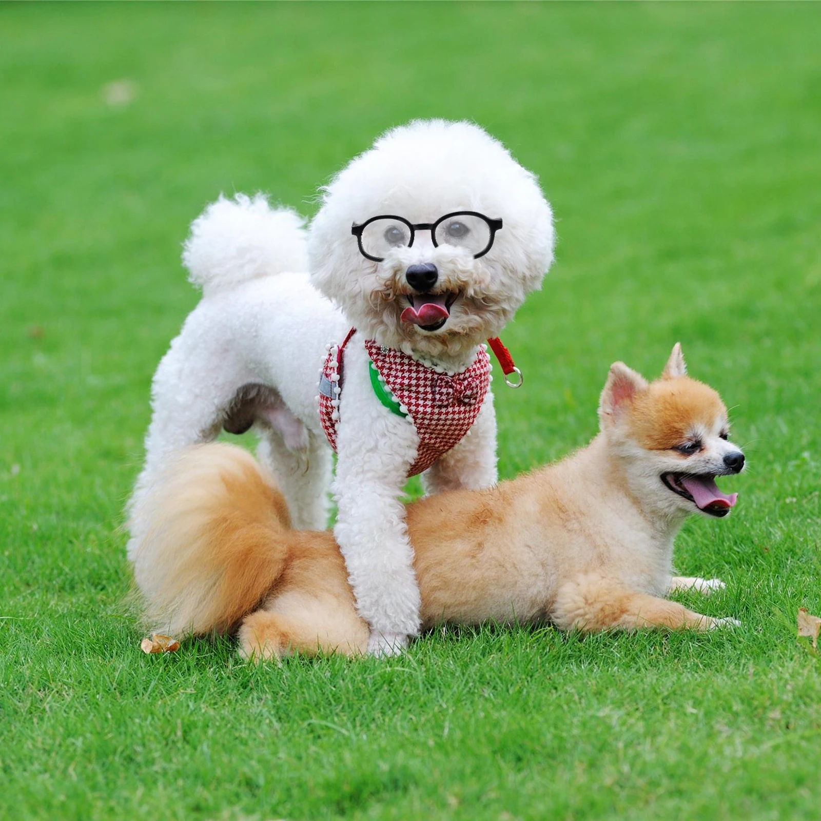 

2pcs Pet Glasses Dog Eyewear Fashionable Plastic Puppy Party Props Christmas Socks Eye Accessories Photography Costumes