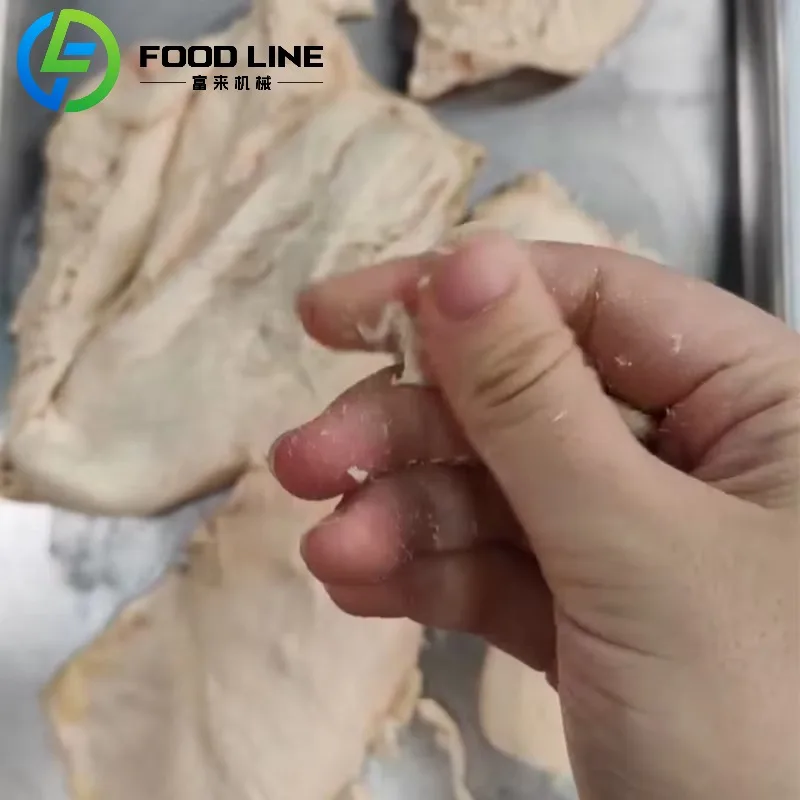 Piccola macchina per liofilizzare la casa Frutta liofilizzata Verdura Caffè Liofilizador Attrezzatura per liofilizzazione in vendita