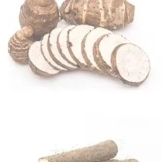 Commercial Grinder Vegetable Powder Grinder Apple Fruit Sweet Potato Crusher Starch Grinder Pulp Residue Separation Refiner