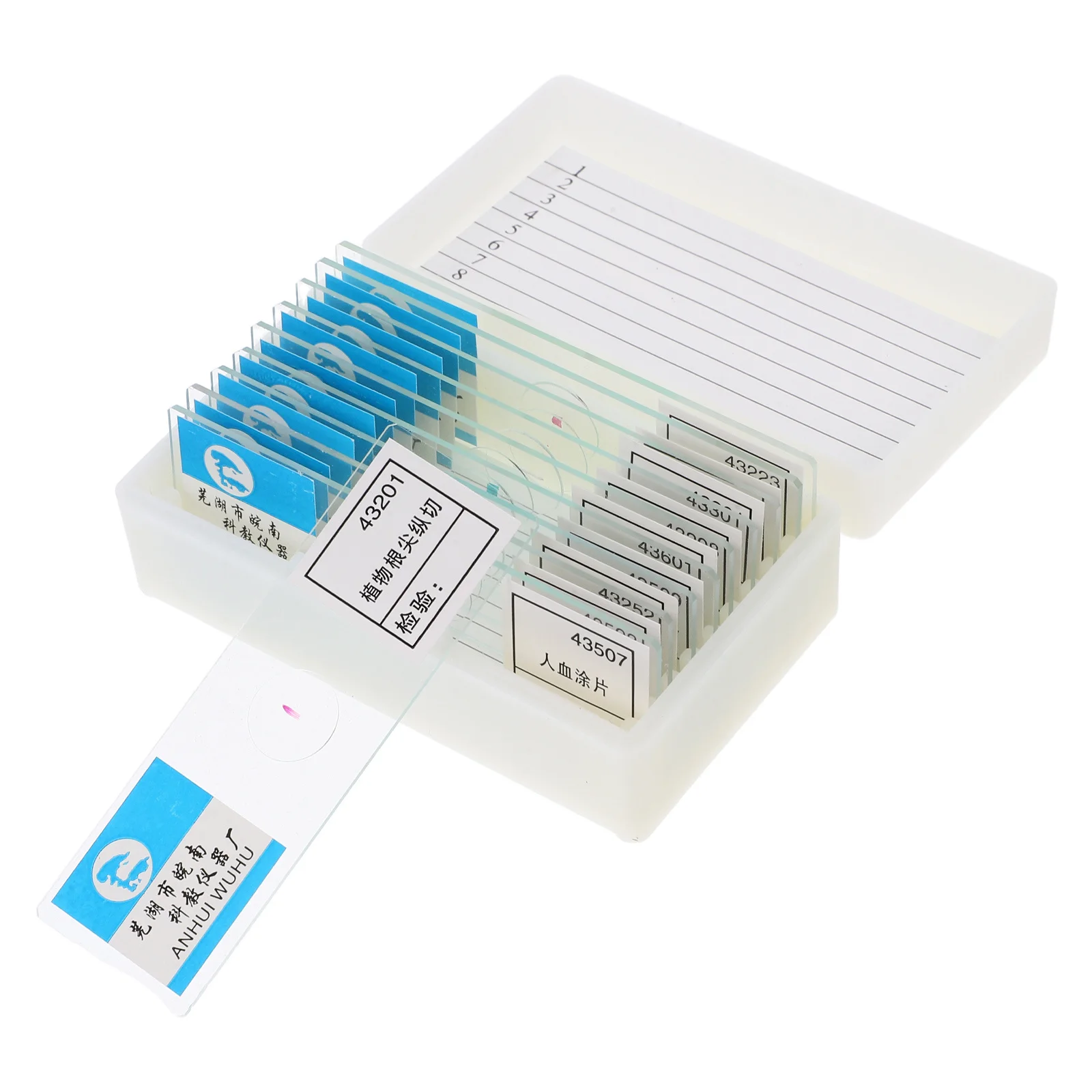 

Microscope Slides for Education Biology Specimen Microbiology Prepared Students Lab Learning