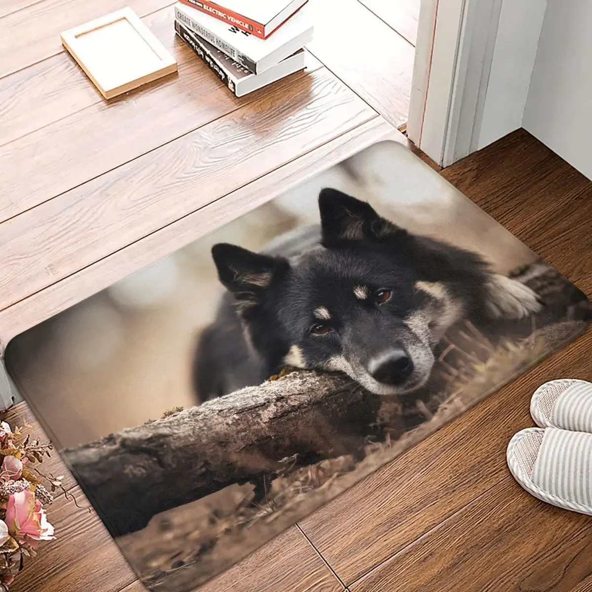 Bathroom Mat Dog Animal Picture Rug Home Doormat Kitchen Carpet Entrance Door