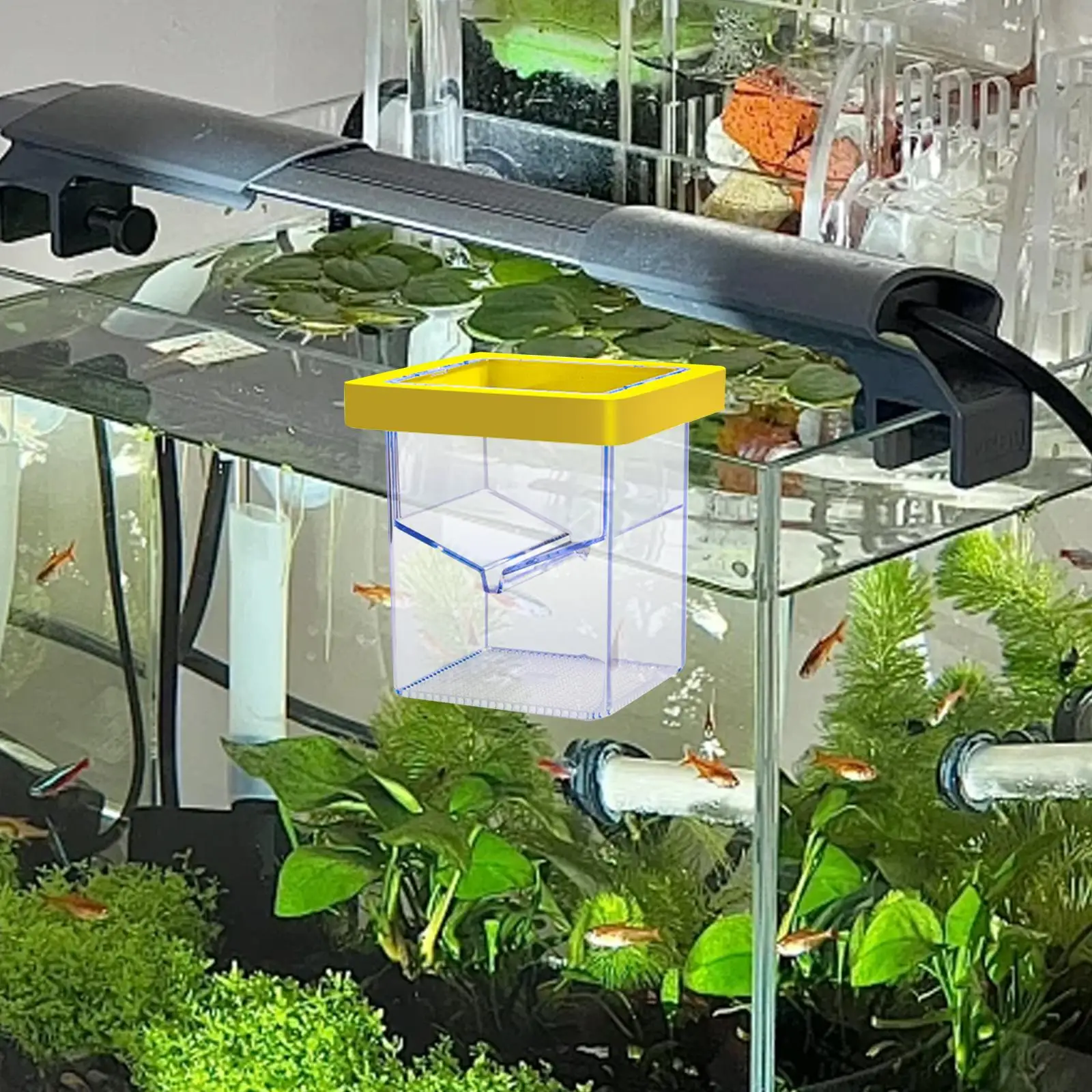 Aquarium Fokker Box Drijvende Acryl Scheiding Vierkante Aquarium Uitkomen Incubator Isolatie Box Uitkomen Doos voor Baby Vissen