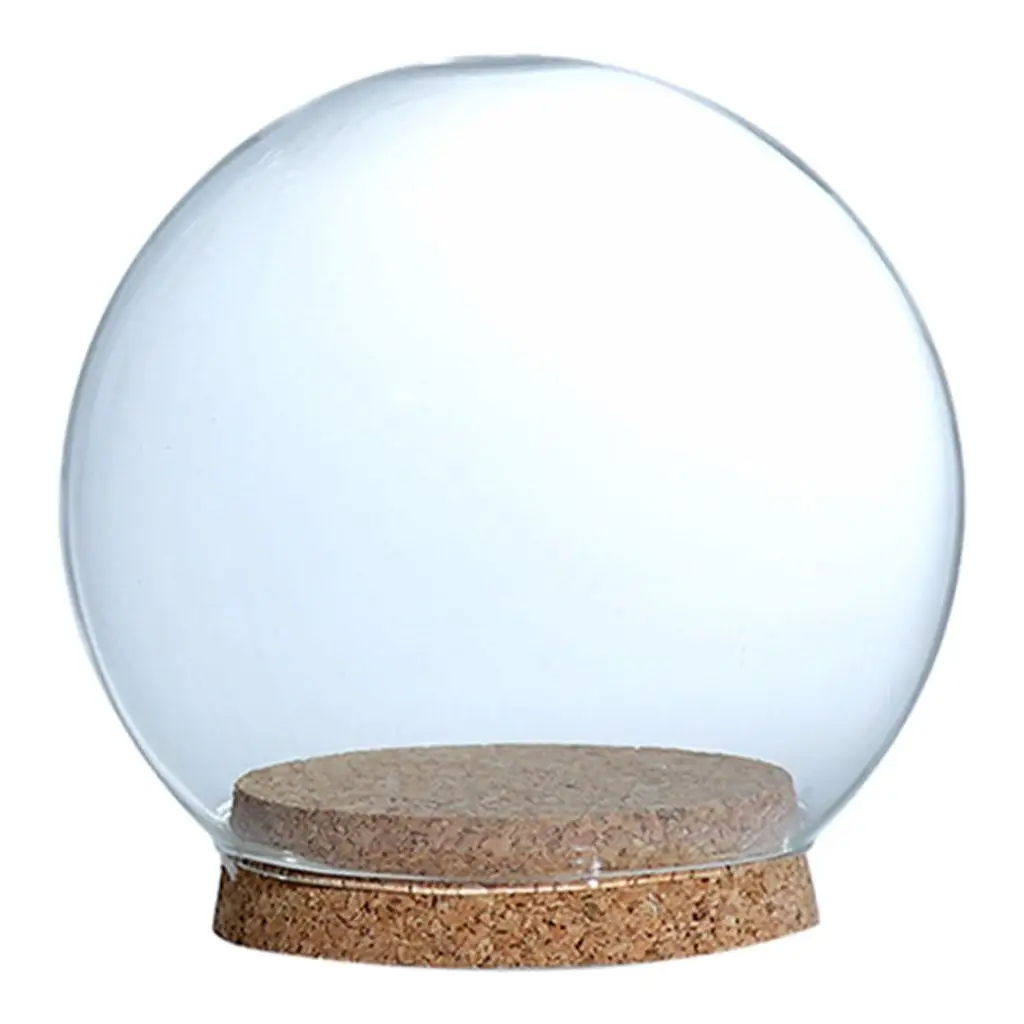 Round Glass Cloche with Wooden Cork Base for Micro Landscape Plant Decoration Any Room Centerpiece
