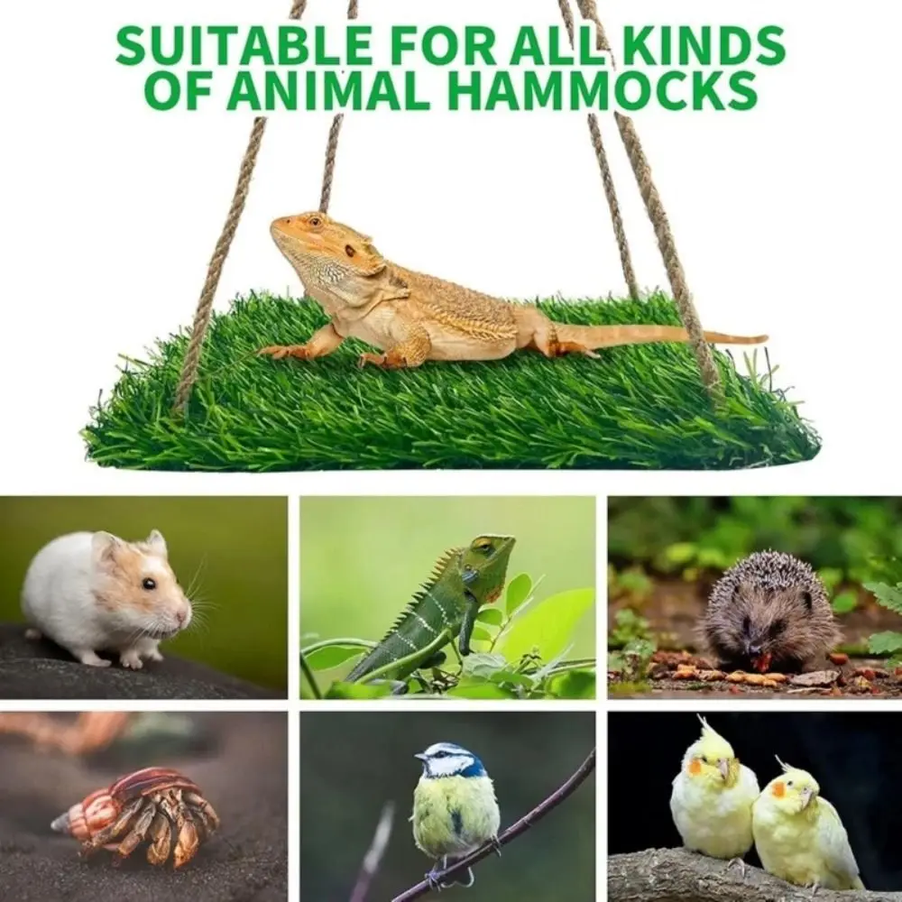 

Artificial Grass Bird Swing Mat Round/Square Shape Natural Hamster Sleep Bed with Hooks Hanging Foraging Mat Toys Small Animals