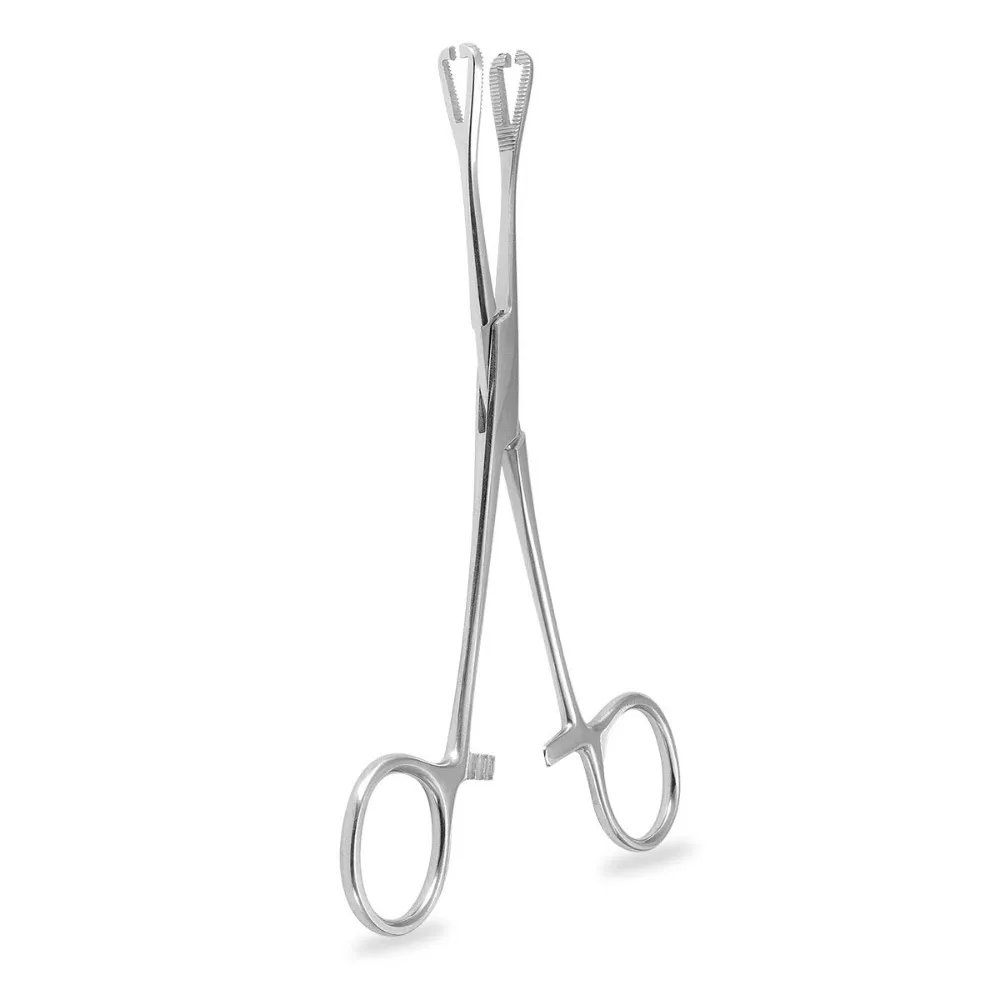 

Body Jewelry Tool Stainless Steel Piercing Clamp Body Piercing Puncture Tool Disposable Professional Tool Tweezers