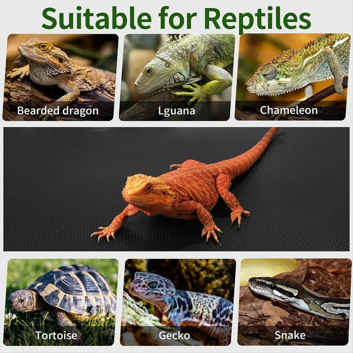 REST Reptile Mat,Reptile Terrarium Substrate Liner for Leopard Gecko, Lizard,Snake,Tortoise,Reptile Flooring 18x36 Inch Black
