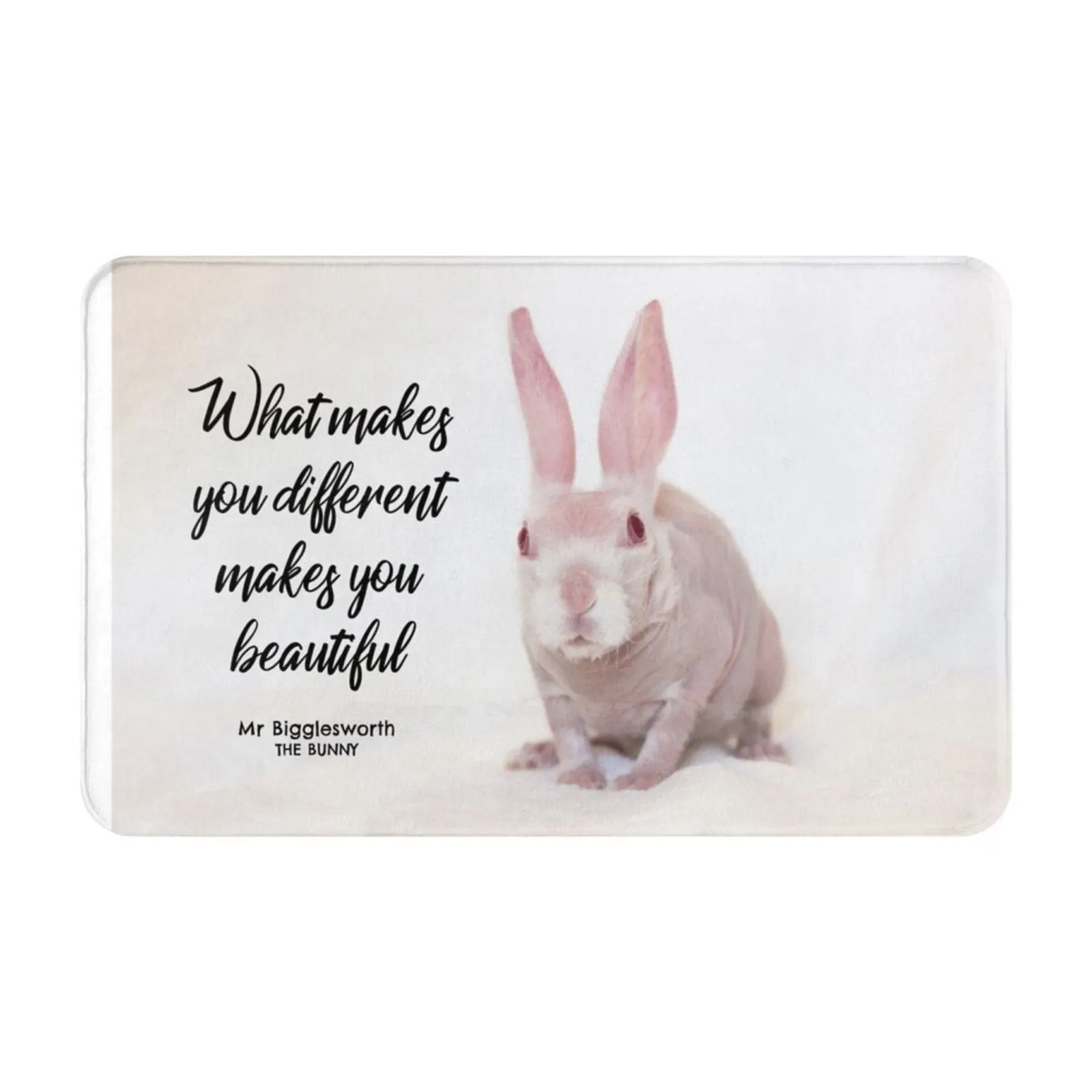 

Mr Bigglesworth The Bald Rabbit-What Makes You Different Makes You Beautiful Soft Cushion Car Home Carpet Door Mat Mr