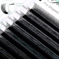Yelix New 3D W Shape Small Opening Eyelash Extension Premade Volume Lashes L M Narrow 3D W Lashes Faux Eyelashes Makeup Tools 2