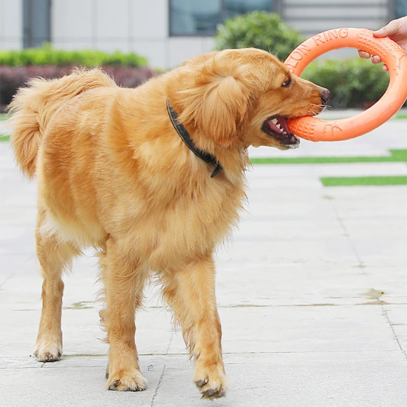 1PCS Orange Dog Toys Pet Flying Disk Training Ring Puller EVA Interactive Training Ring Puller Resistant for Dogs Training Toys