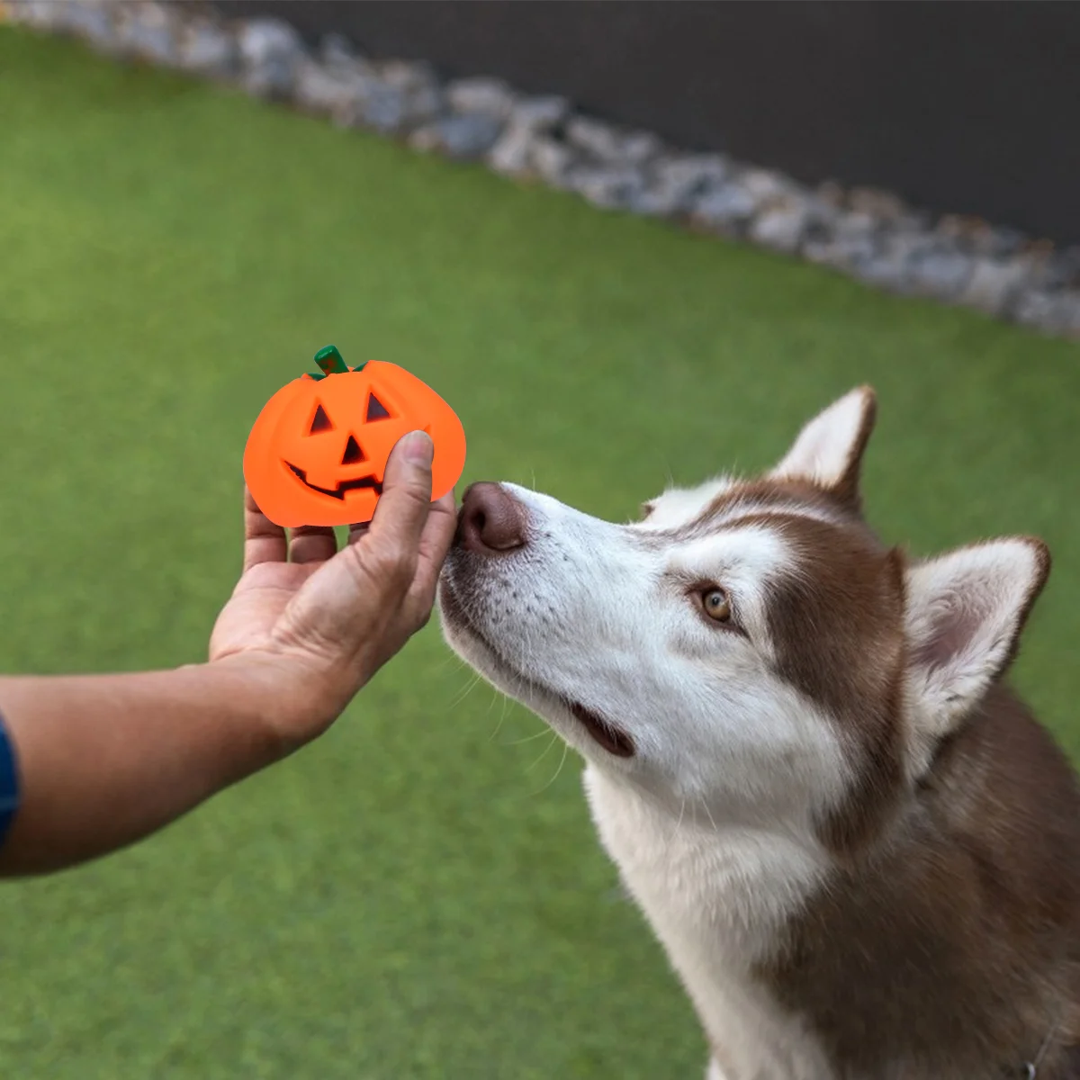 

Pet Chew Toy Halloween Dog Pumpkin Shaped Sound Pets Training Squeaky Plastic Toys