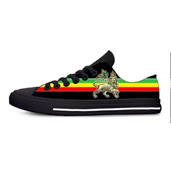 Ethiopia Ethiopian Flag Lion of Judah Rastafarian Casual Cloth Shoes Low Top Comfortable Breathable 3D Print Men Women Sneakers