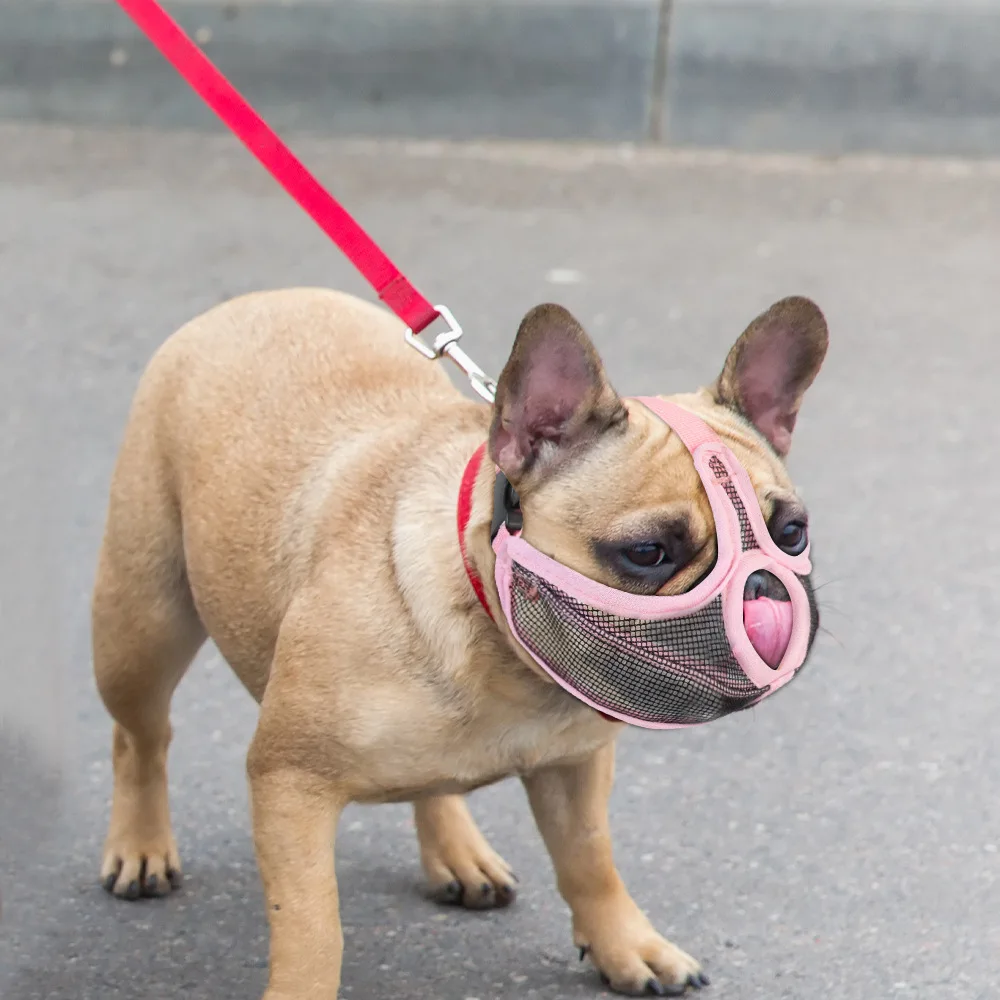 New French Bulldog Muzzle to Prevent Eating, Short-mouthed Dog Muzzle to Prevent Biting, Bulldog Special Mouth Cover Dog Mask