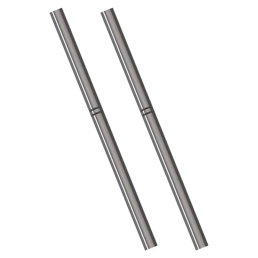 2Pcs Nail Art Brush Set Aluminum Tube Nylon Wool Manicure Nail Art Tool for Gel Nails Line Drawing Home Salon Professional Use