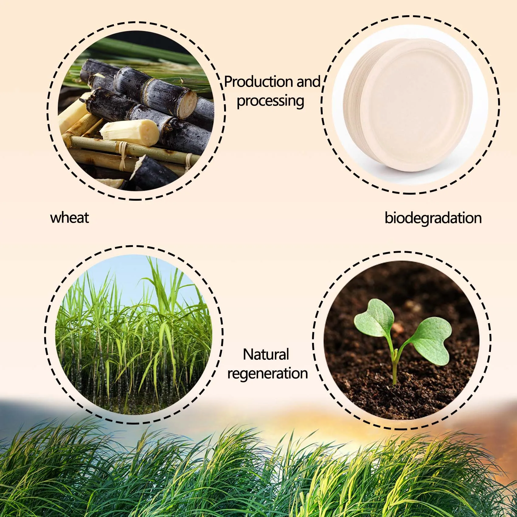 AB13-100 Pack 7In Compostable Disposable Round Bagasse Paper Plates,Biodegradable Sugarcane Fibre