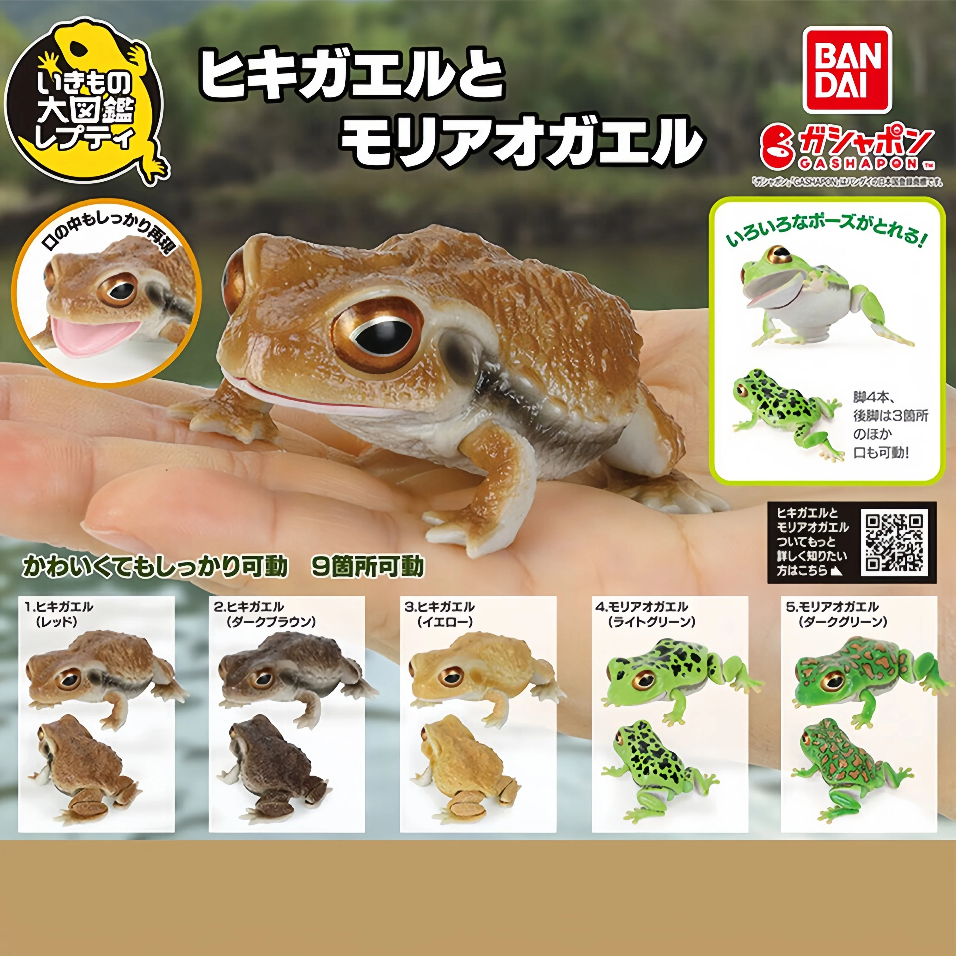 

Bandai Gashapon 'Creature Encyclopedia' Series - Toad & Frog Poseable Figures Collectible Amphibian Display Toy Gifts