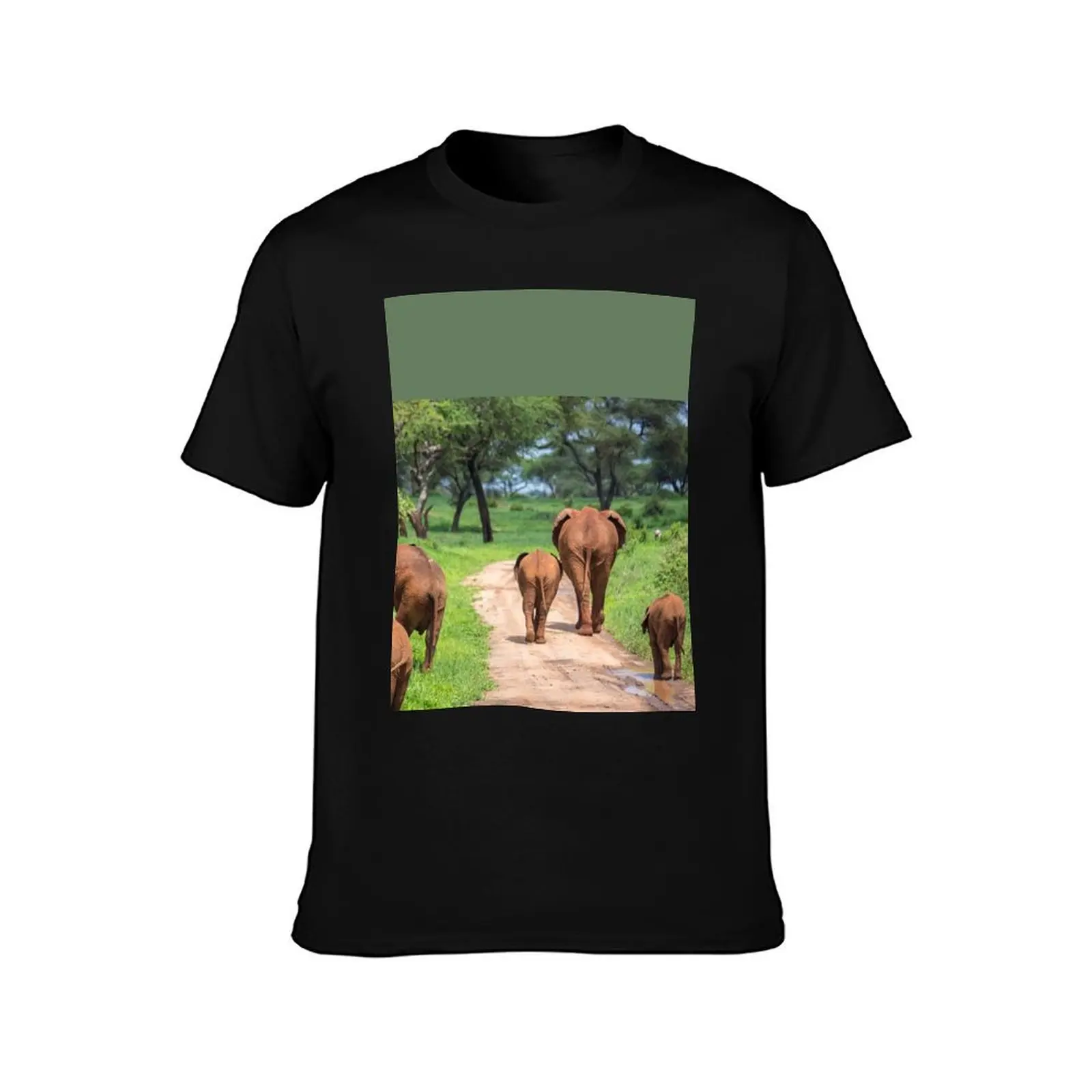 Tanzania. Tarangire National Park. Elephants. T-Shirt cute tops kawaii clothes Blouse shirts graphic tees luxury clothes men