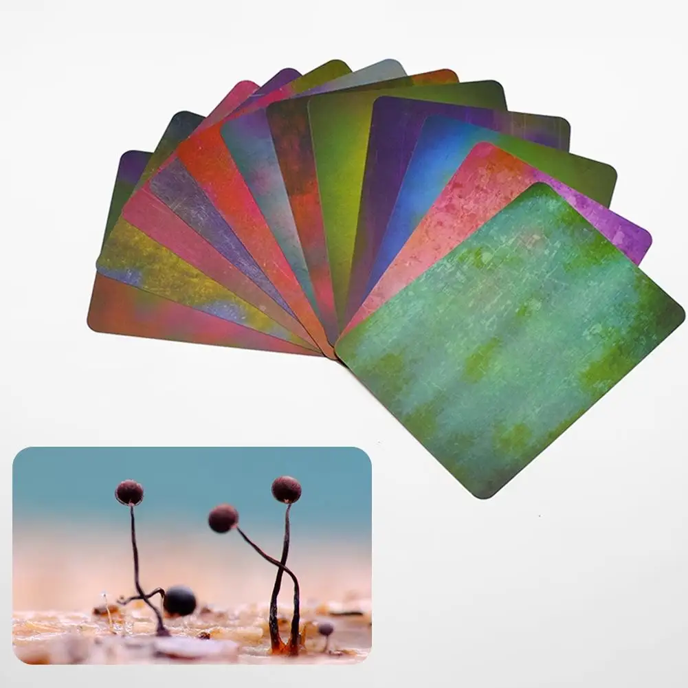 Macro Photography Tools Background Card Gradient Color 12 Pieces Double-side Colorful Macro Photography Background Card