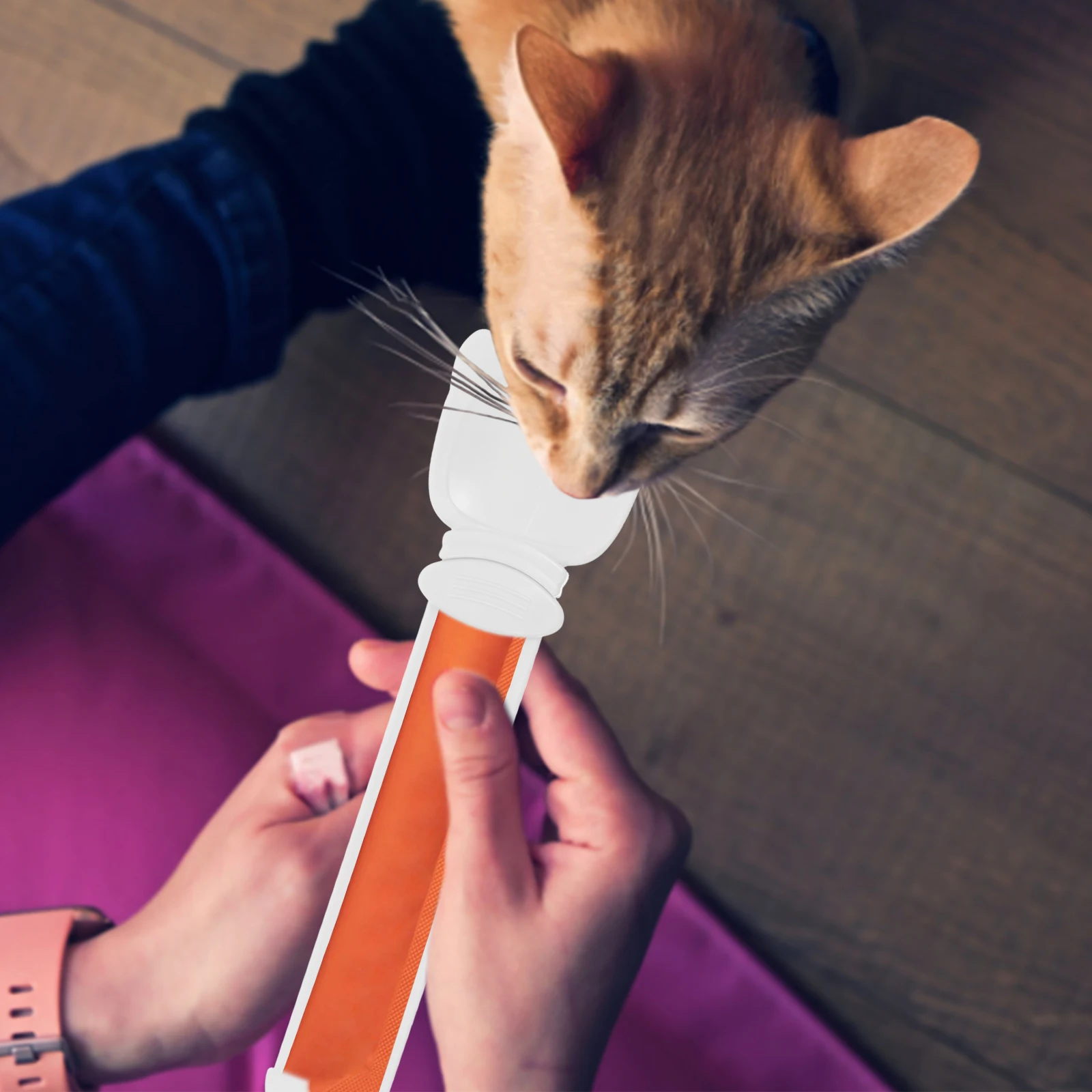

Cat Ear Shaped Cat Food Spoon HIPS Material Reusable Feeding Tool Wet Treat Squeezer Easy Clean Portable Pet Supplies