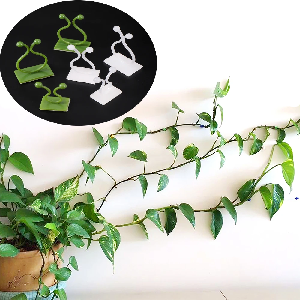 

50Pcs Plant Climbing Wall Fixture Clips Rattan Vine Fixer Self-Adhesive Hook Invisible Garden Binding Clip Wall StickyClip New