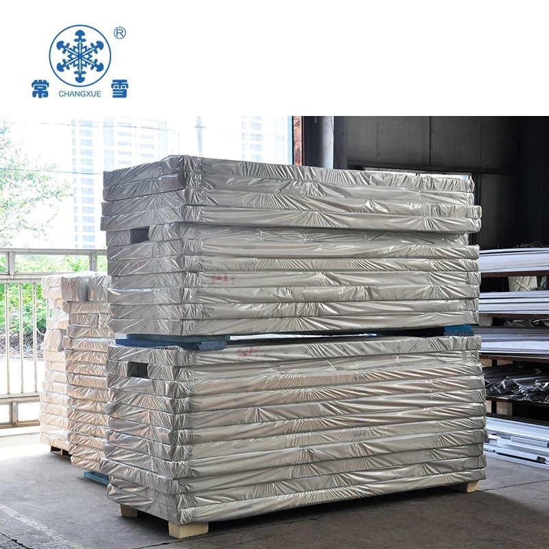 Camminata nella stanza del refrigeratore per stoccaggio del congelatore nella stanza fredda in vendita