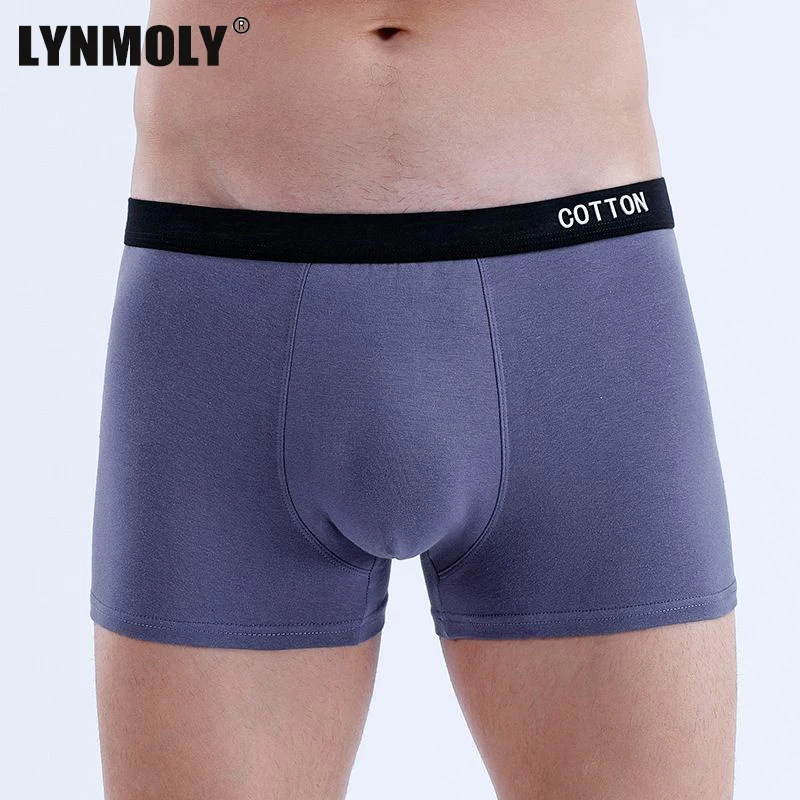 

Мужское нижнее белье из однотонного хлопка, 1/2/3/4 шт., мягкие сексуальные дышащие боксеры с промежностью для подростков, удобные брендовые боксеры больших размеров