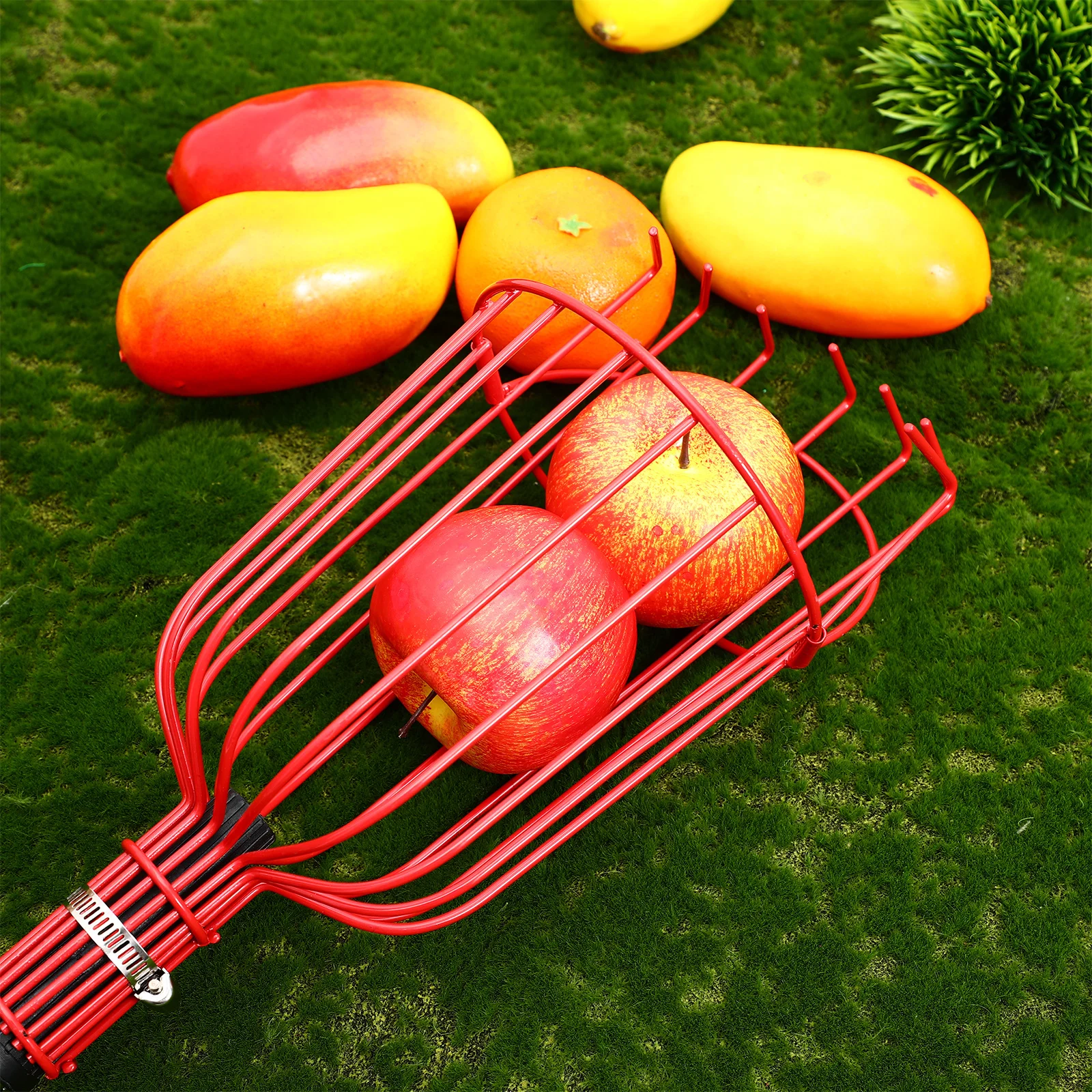 1 set di bastoncini per la raccolta della frutta con manico allungabile, cestello di cattura delicato per la gabbia raccoglitrice di frutta per la raccolta di mele, arancioni, pere