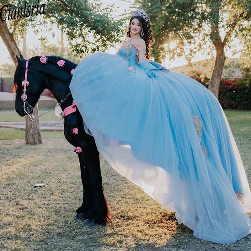 فساتين Quinceanera الزرقاء اللامعة فساتين الدانتيل الزهور الوردية 15 Anos حفلة عيد ميلاد حفلة موسيقية الكرة ثوب مخصص