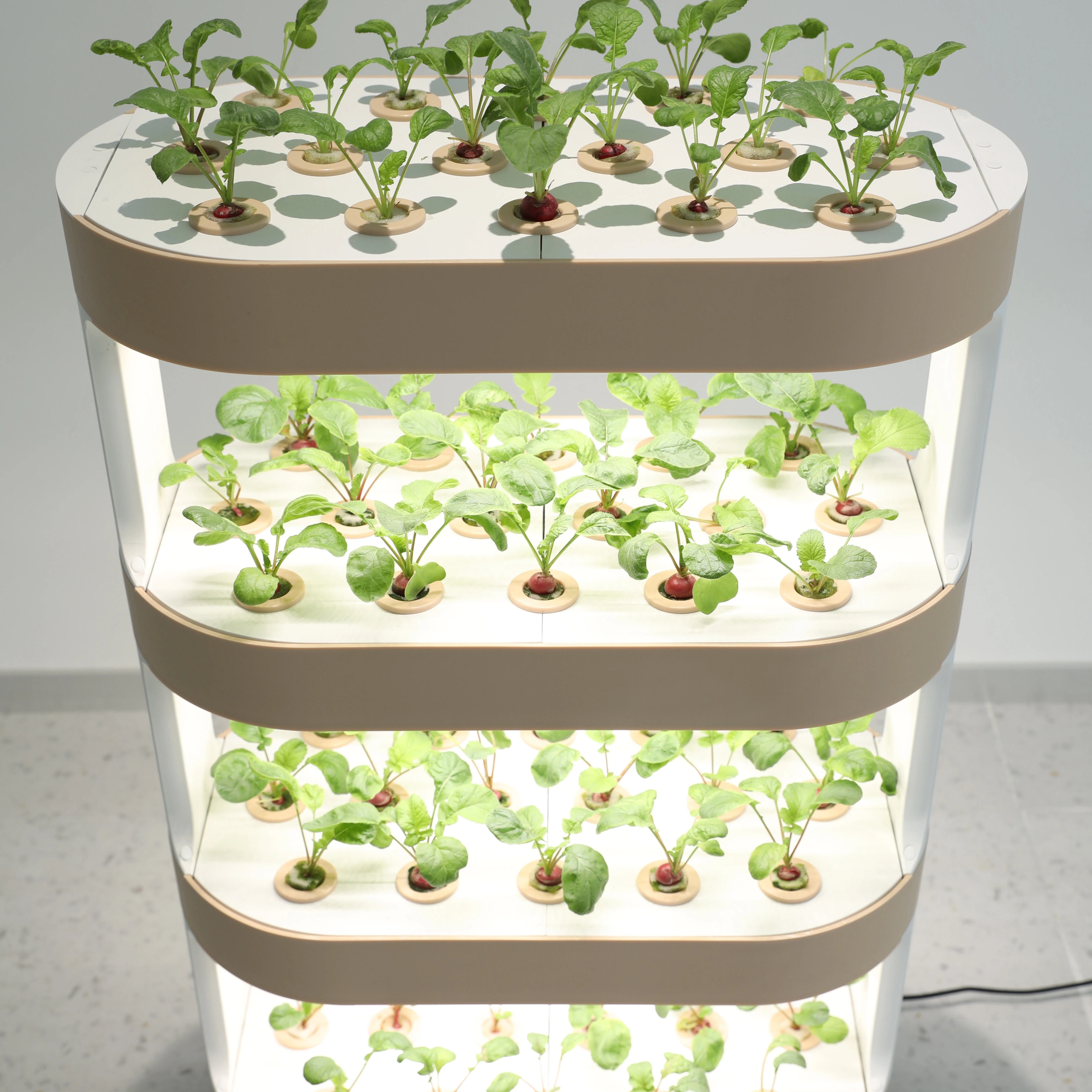 水耕タワースマート水サイクル成長野菜コンテナ