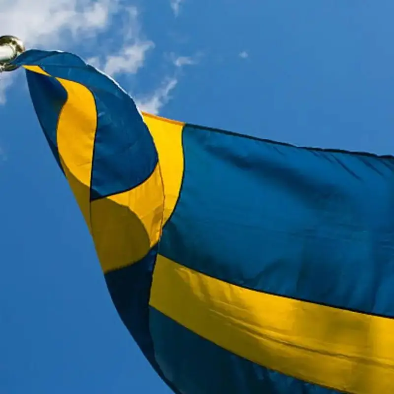 Johnin 90x150cm Se Konungariket Sverige Sweden Flag