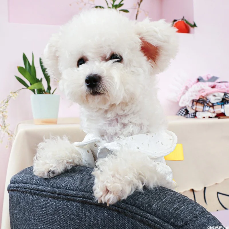 1PC Pet Clothing Cat Spring/Summer Thin Bow High Waist Four legged Pants Yellow Stripe Suitable for Small and Medium Dogs