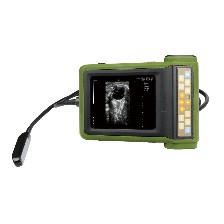 Veterinary Ultrasonic Diagnostic System  Output Portable  Efficient Real Time Imaging For Pet And Livestock Clinical Check