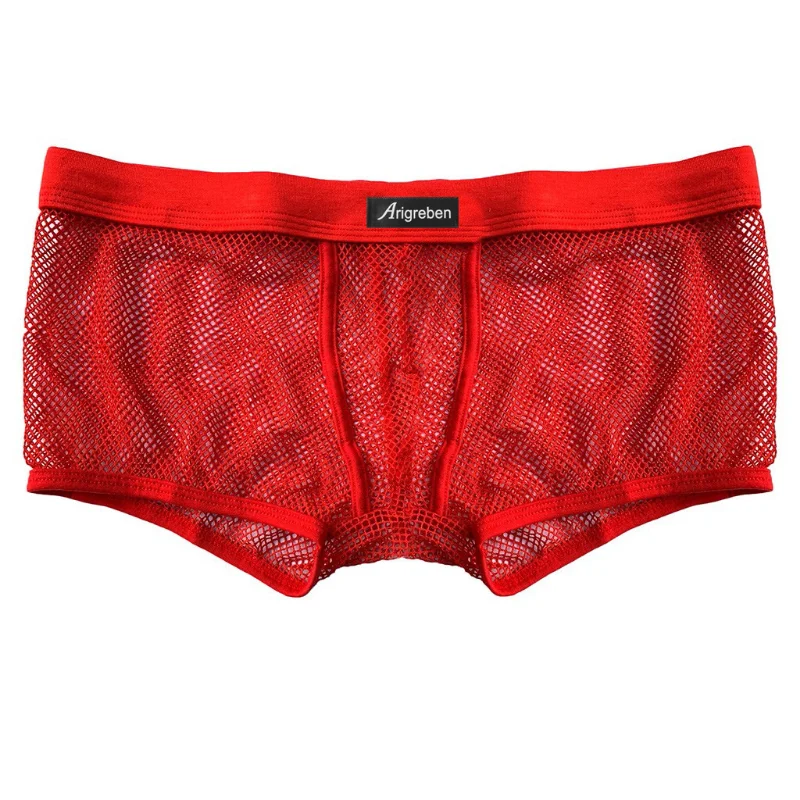 Men Trunks Mesh Hollow Breathable Panties Transparent U-Shaped Pouch Bikini Underwear Ultra-Thin Low Waist Underpants String