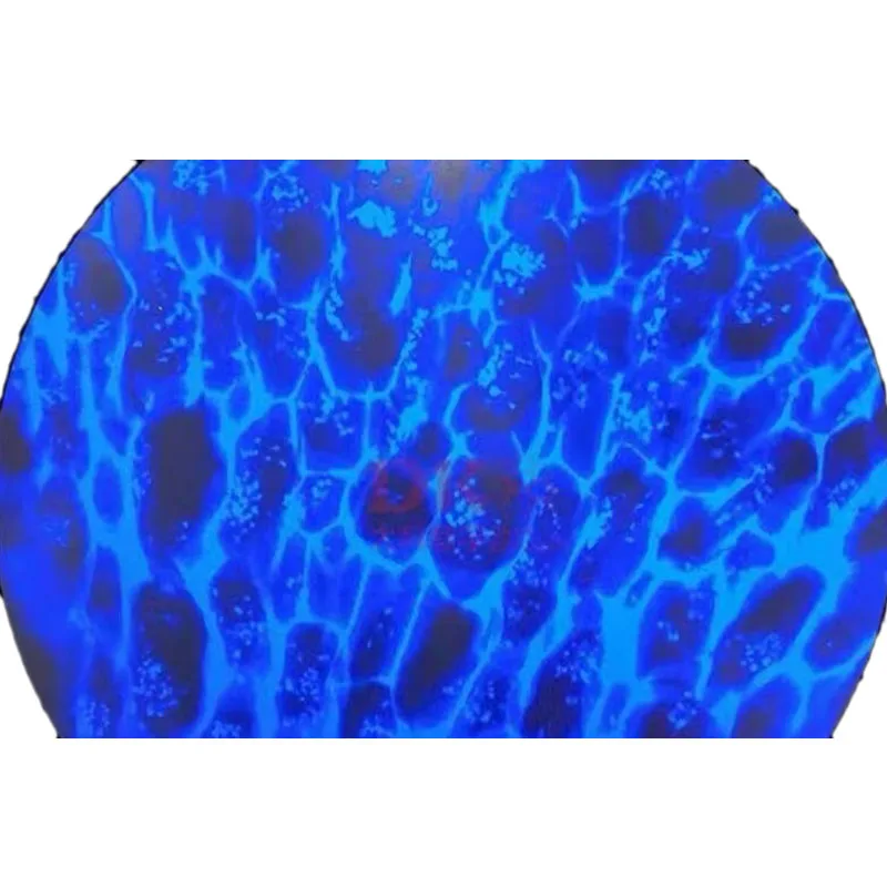 5Pcs Teaching Microscope Fluorescence Prepared Slides Especially for Fluoresence Microscope