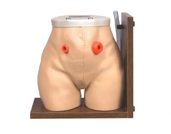 BIX-H38 Nursing manikin Advanced PVC Material Senior Fistula Colostomy Nursing Model