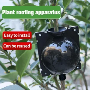 7 Hauptverkaufskugel Rooting - №6