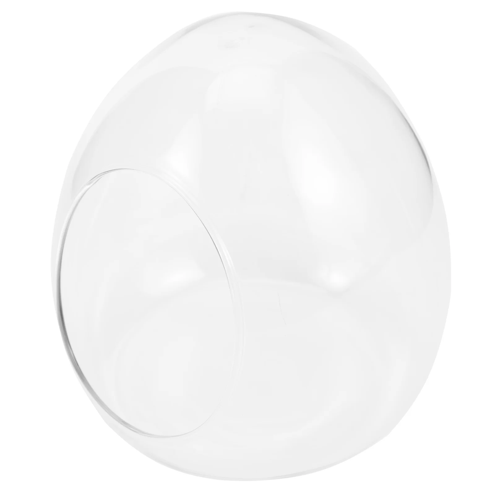 

Micro Landscape Bottle Moss Ecological Bottle with High- Transparent Design for Home Decor Terrarium DIY Plants