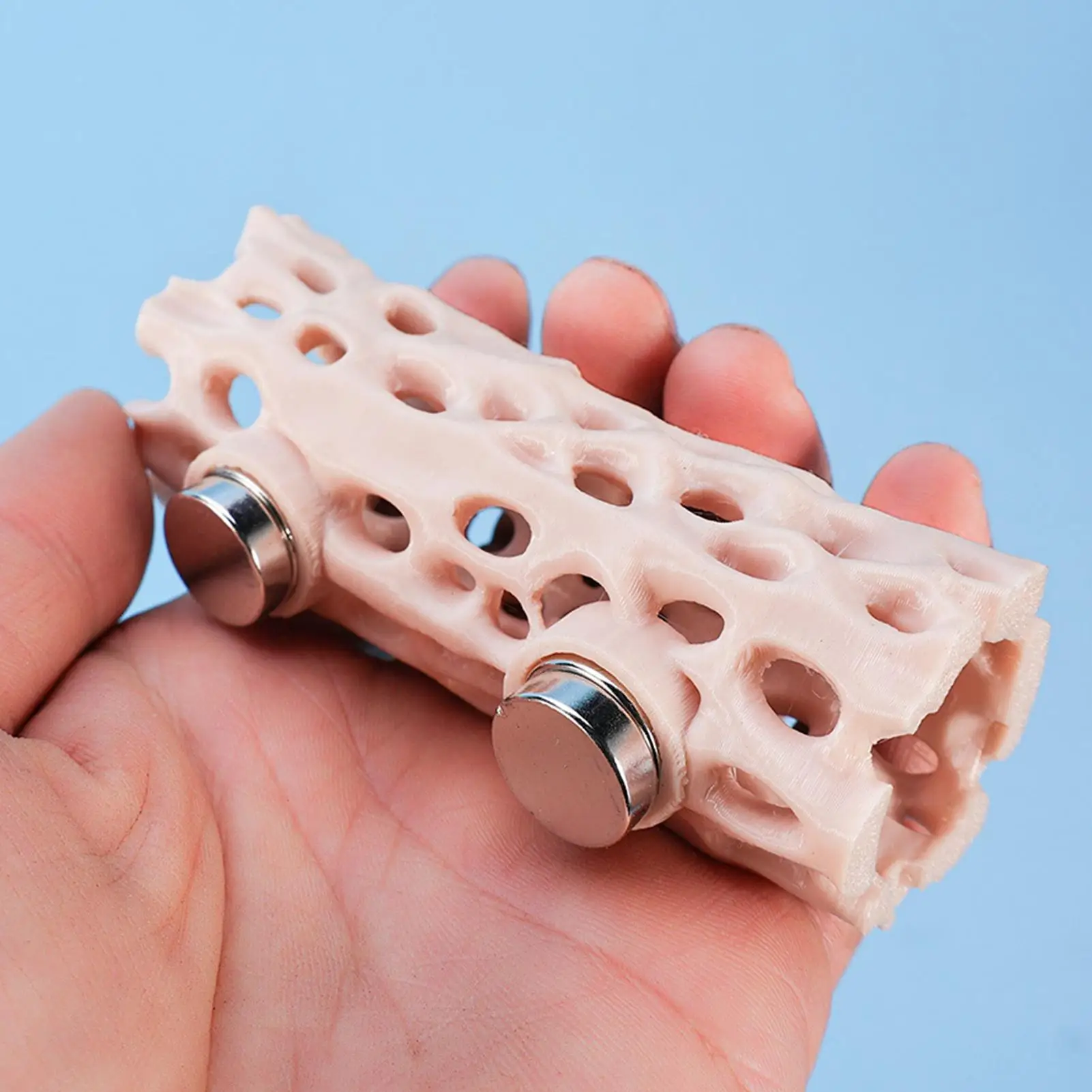 

Прыгающий паук, среда обитания, магнитная рептилия, скрывающее укрытие, геккон, среда обитания для скалолазания, террариум, лягушка, геккон, амфибия