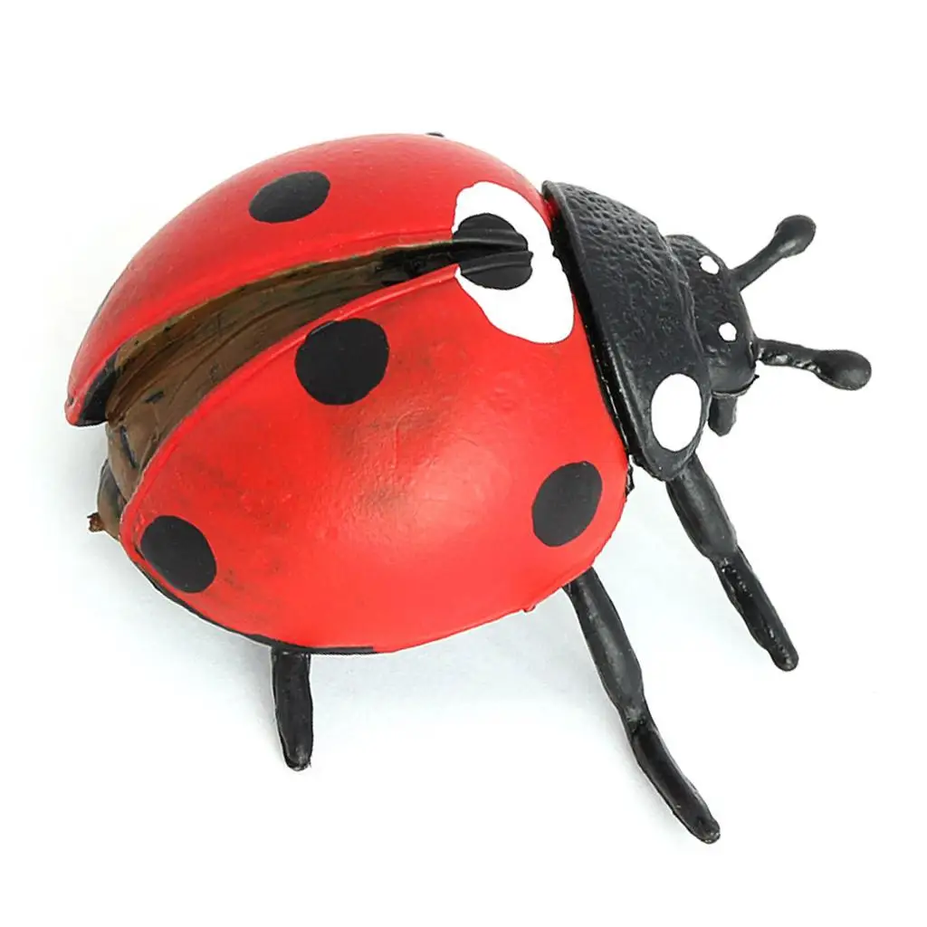 Life Cycle of a - Includes Egg, Larva, , and Replicas - Educational Hand Painted Figurines for Ages 4 and Up