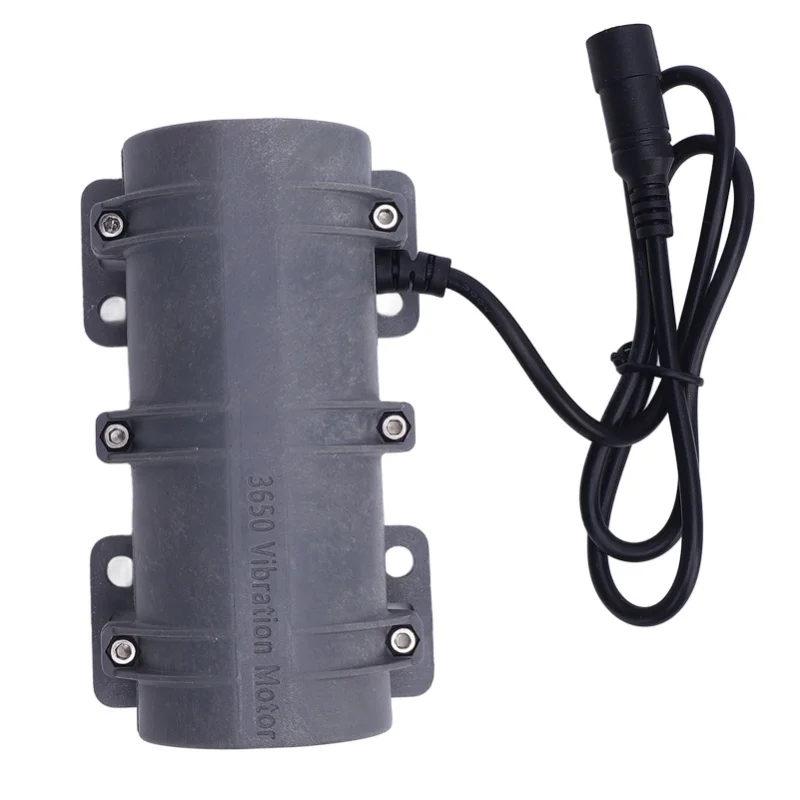 3650 Vibration Motor 3800RPM Double Eccentric Wheel Carbon Brush Vibrating Motor For Electric Bed Car Warning System DC24V